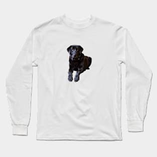 Labrador Retriever Dog Puppy Black Long Sleeve T-Shirt